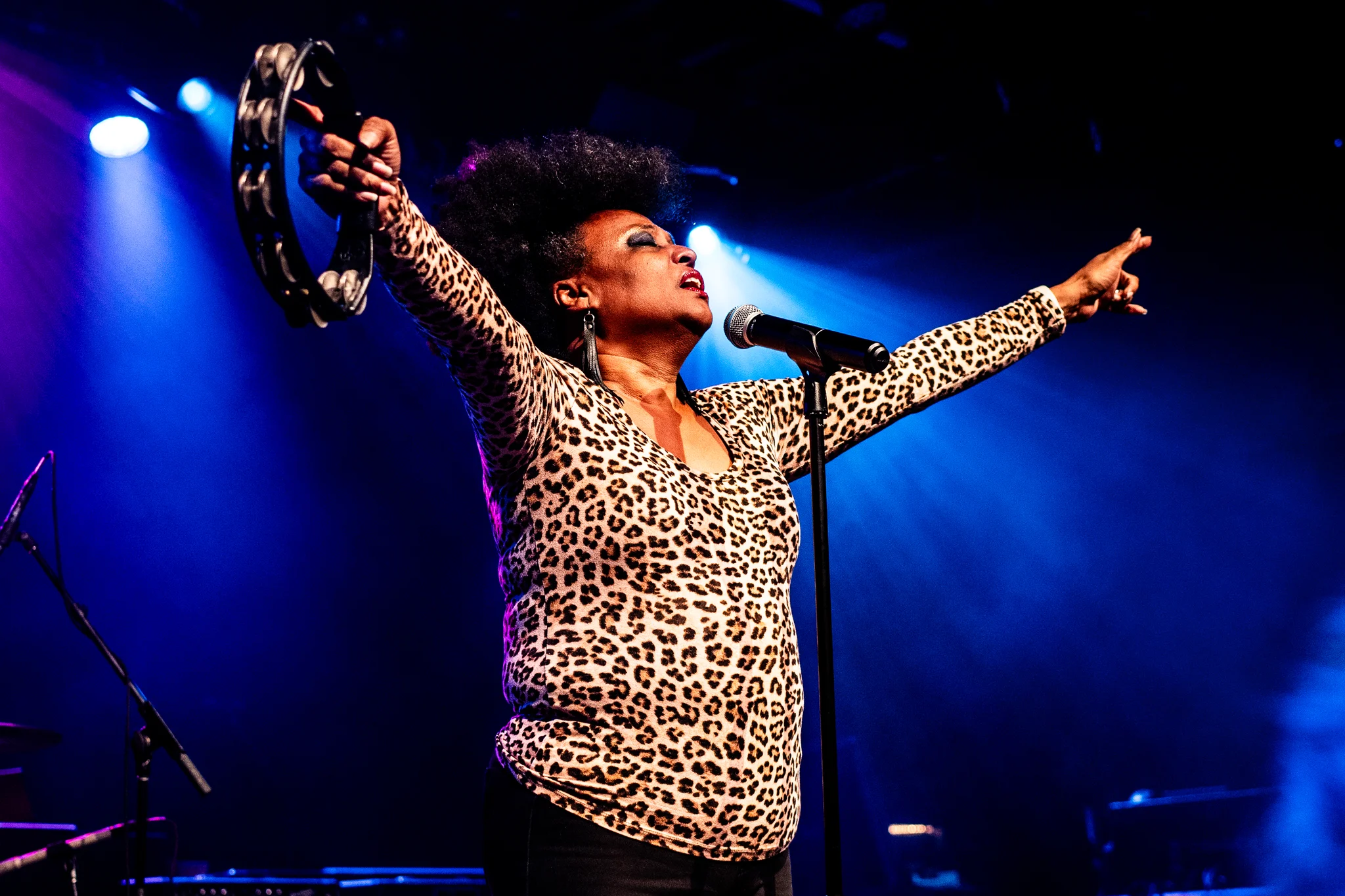 The Bellrays performing at Commodore Ballroom, Vancouver, BC - concert photography by Michael Caswell
